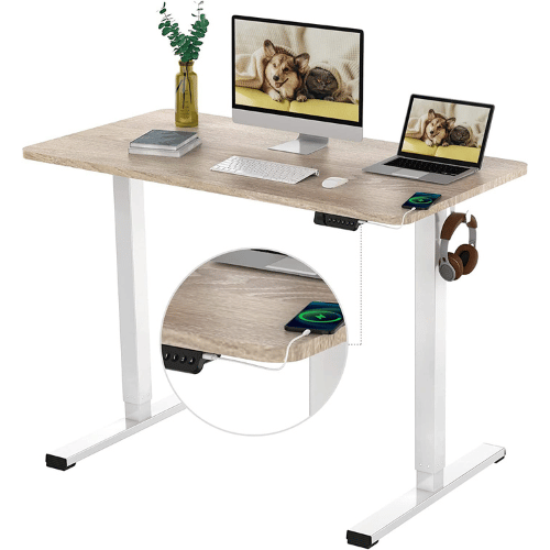 Flexiport Electric Standing Desk 